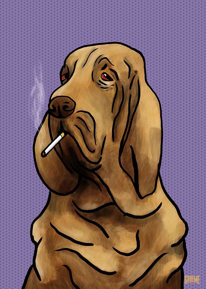 Smoking Bloodhound