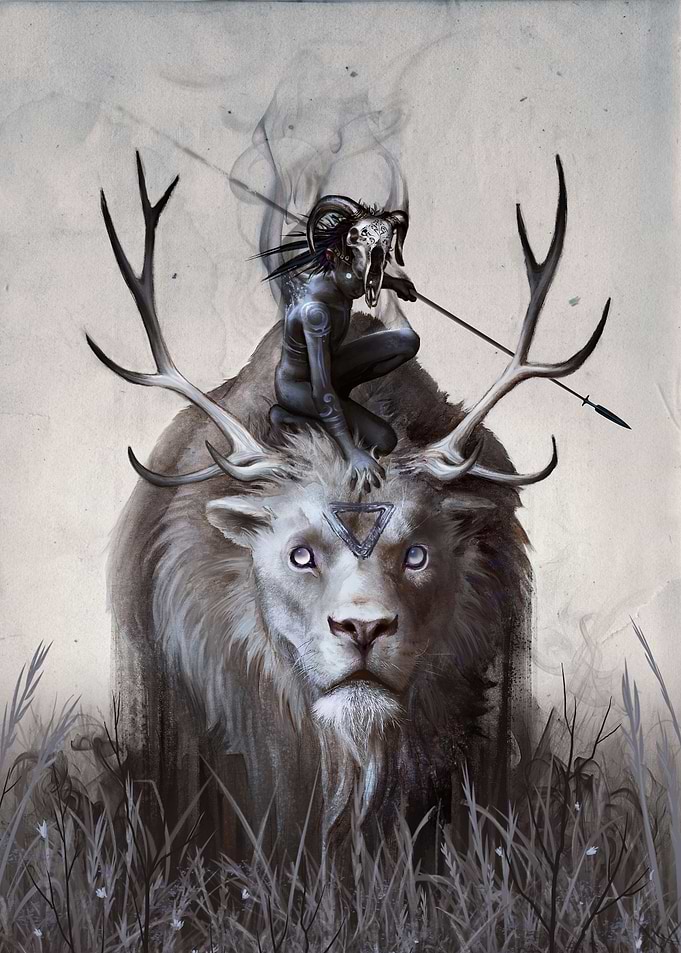 A Boy and his Beast