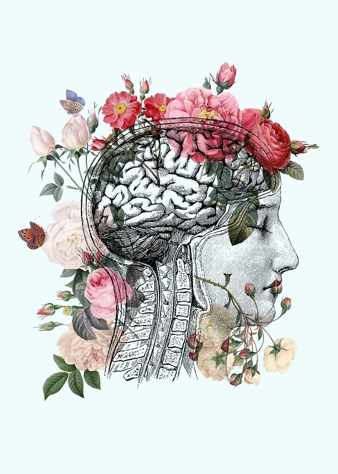 The Beautiful Brain