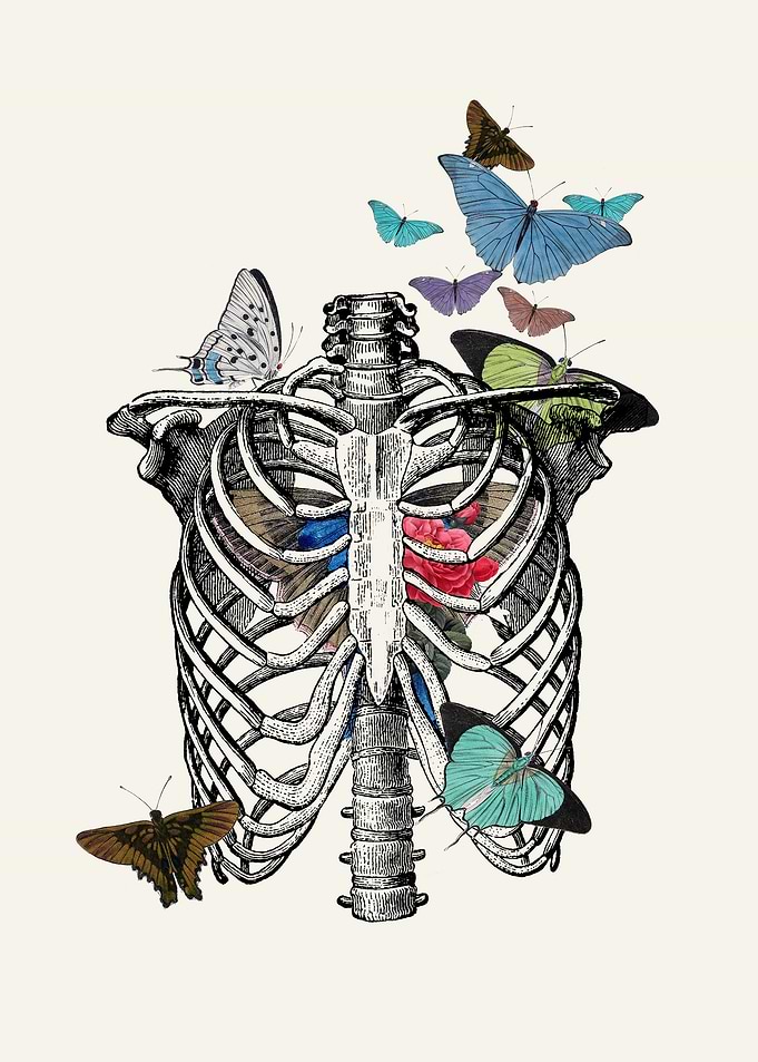 Anatomy 101