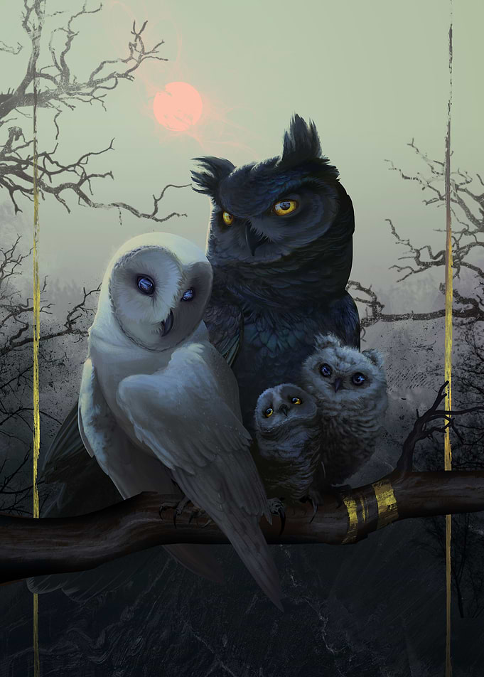 Birds of a Feather