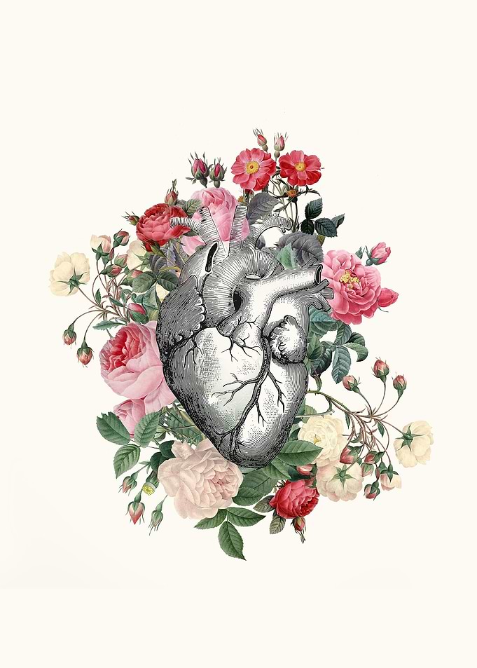 Roses for her Heart