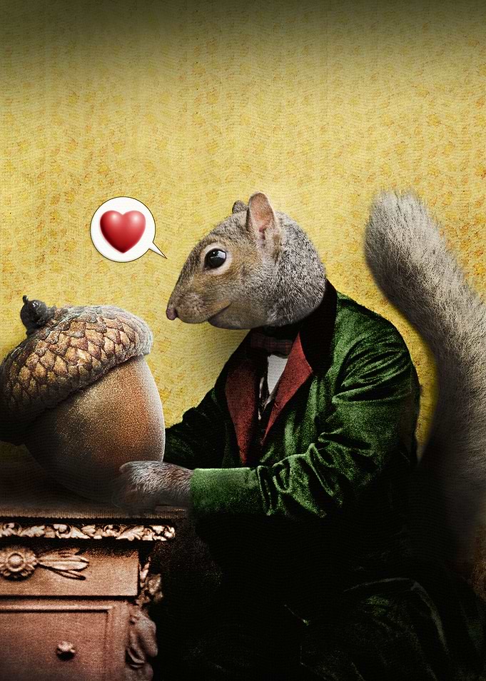 Mr. Squirrel