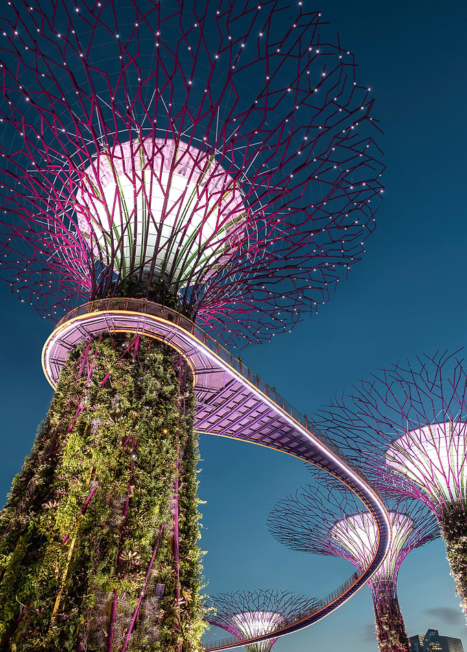 Gardens by the Bay