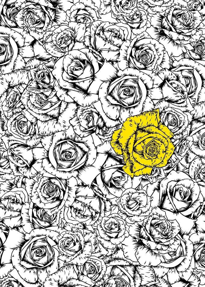 Yellow rose
