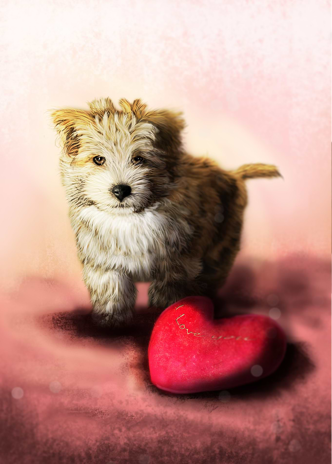 LittleBig heart
