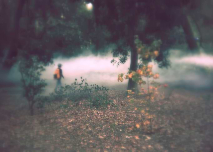 magical mist