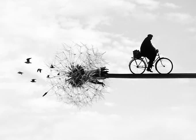 Chasing the Wind