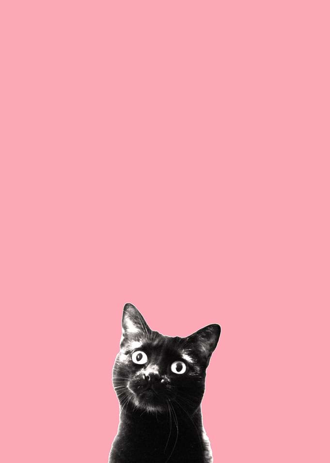 what's up? (pink)