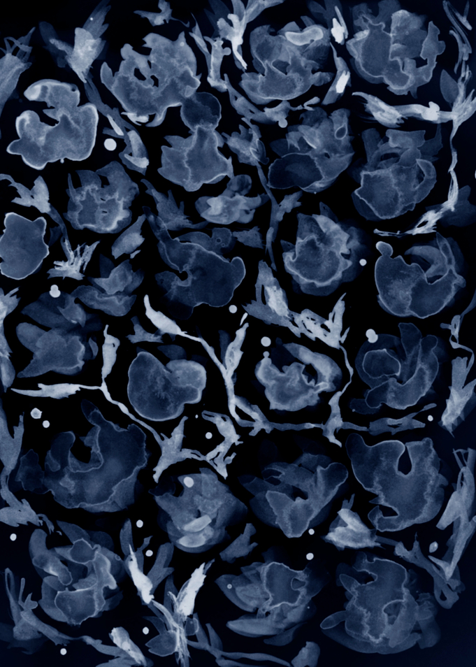 Floral background