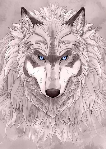 Grey Wolf