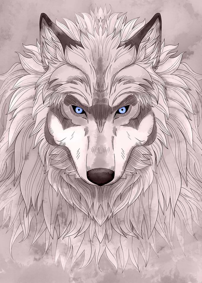 Grey Wolf