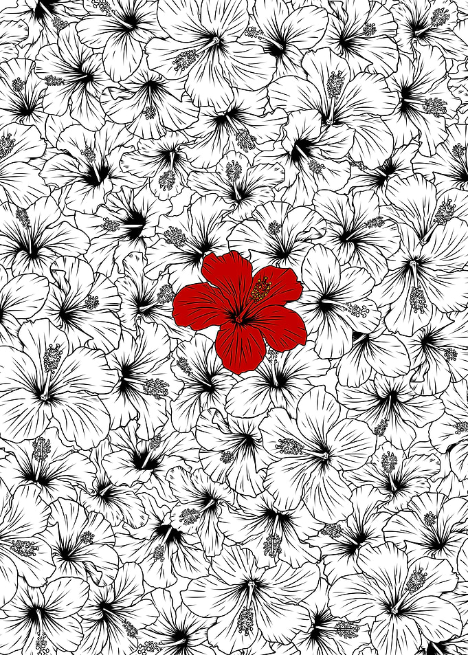 Red Hibiscus