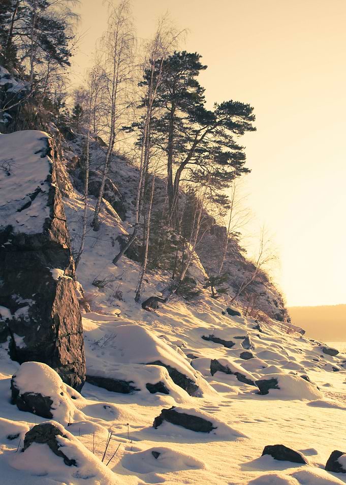 Winter landscape