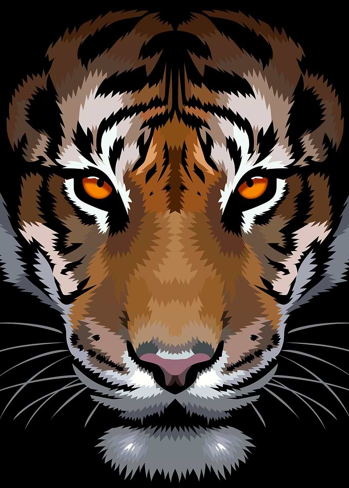 Amazing eyes of the tiger