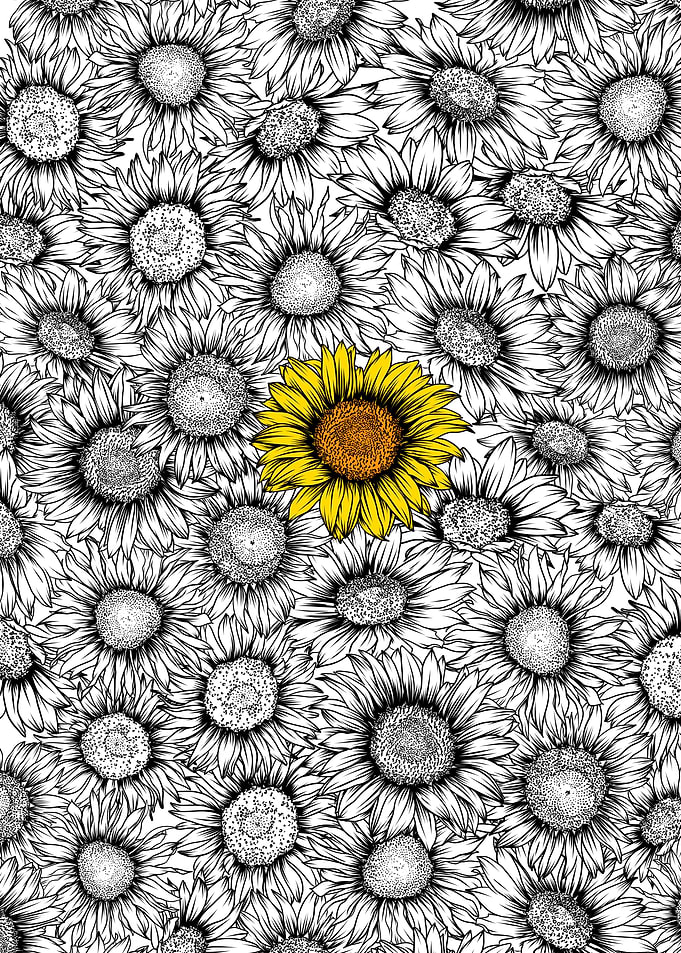 Sunflower pattern