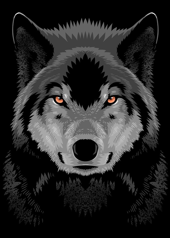 Amazing wolf