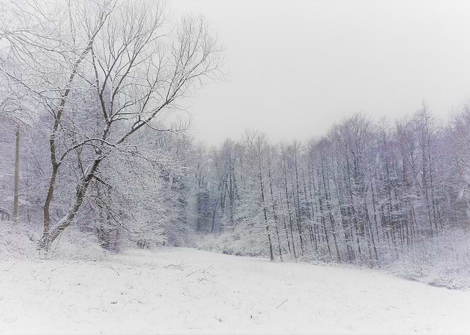 winter in rajsko