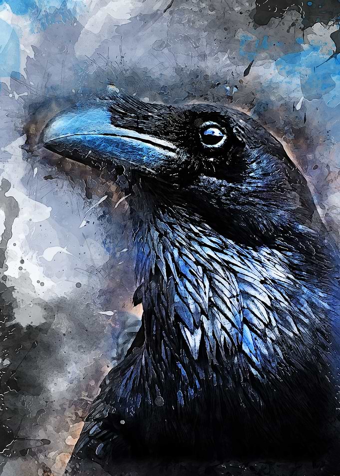 Crow