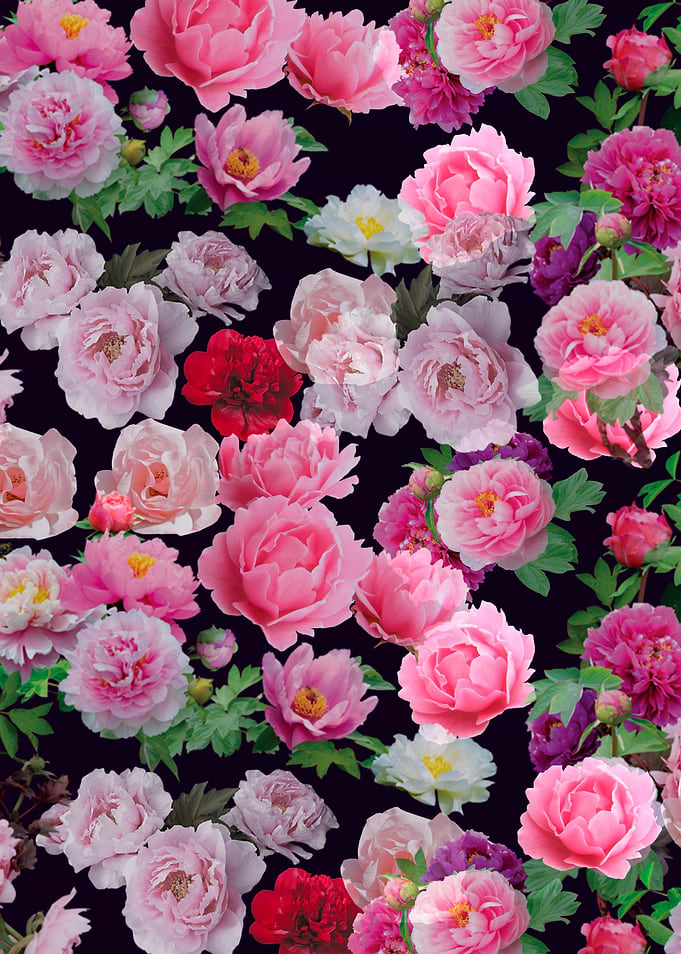 Floral background