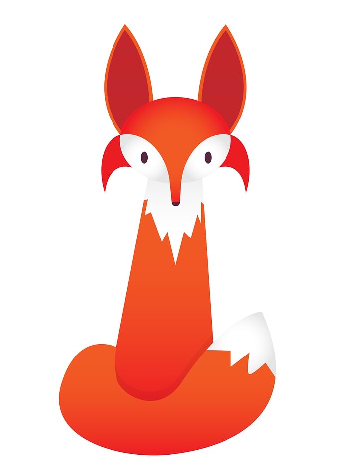 The Fox
