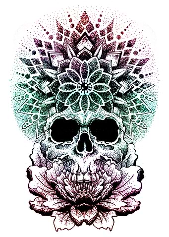 Latest drop