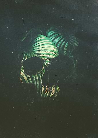 Skull 02