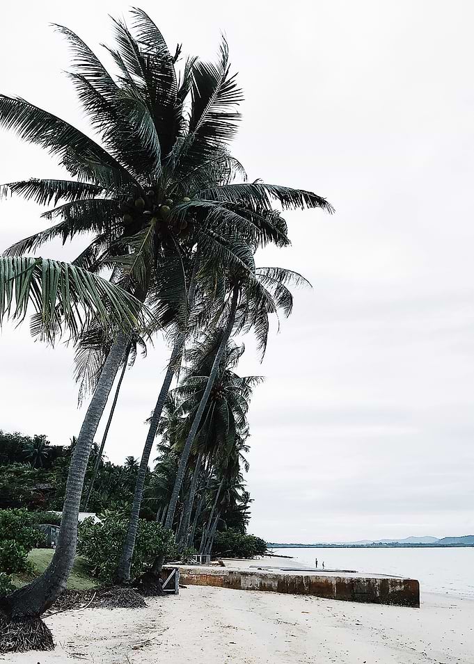 Walk with me