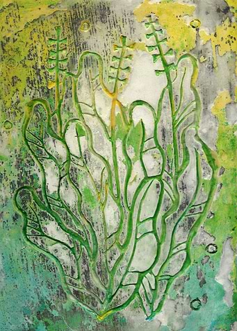 Summer Herbs
