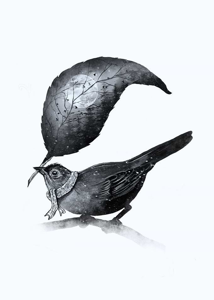 The Messenger II