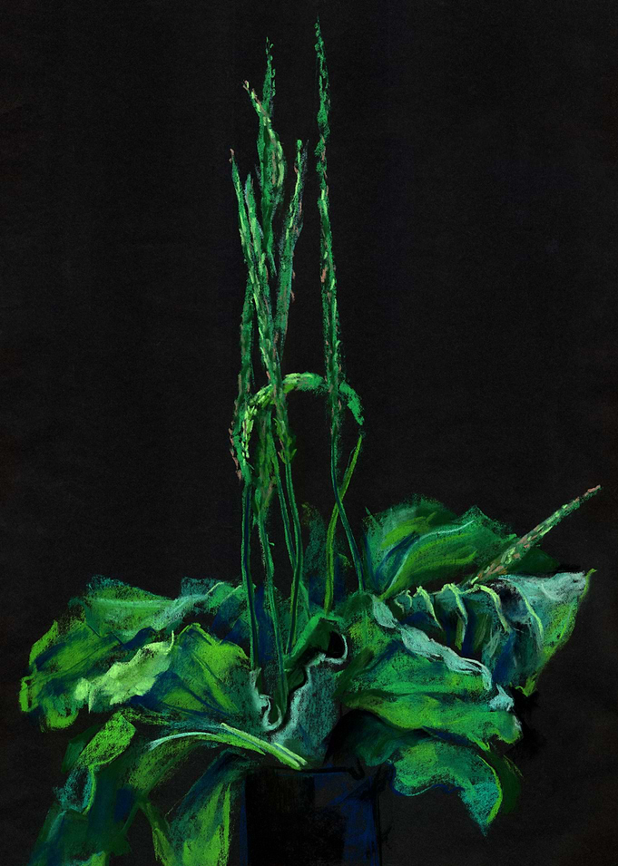 Plantain