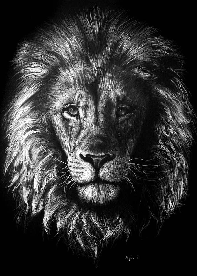 The Lion