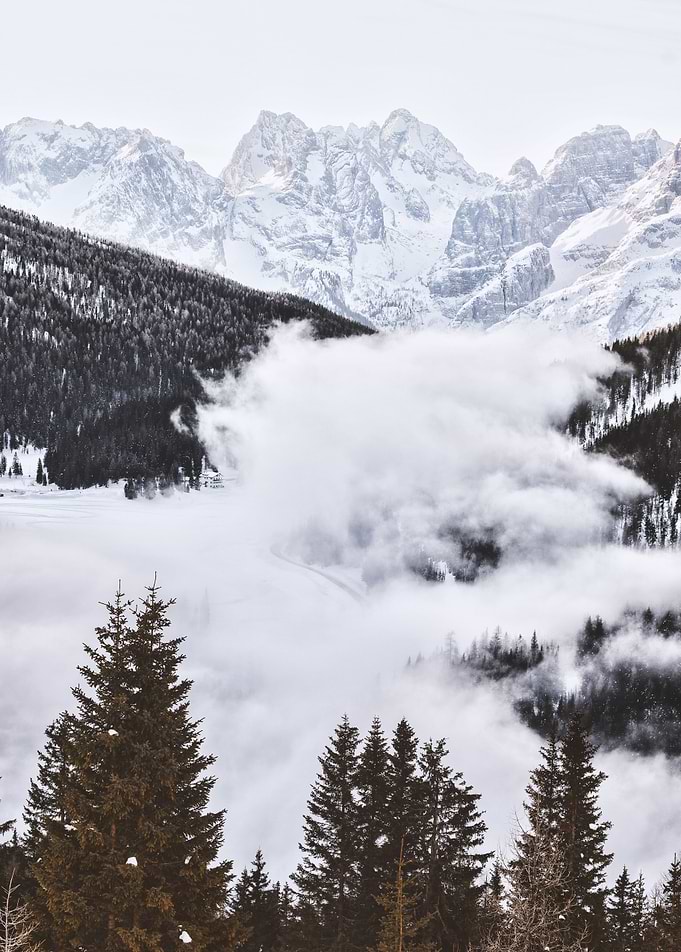 Fog