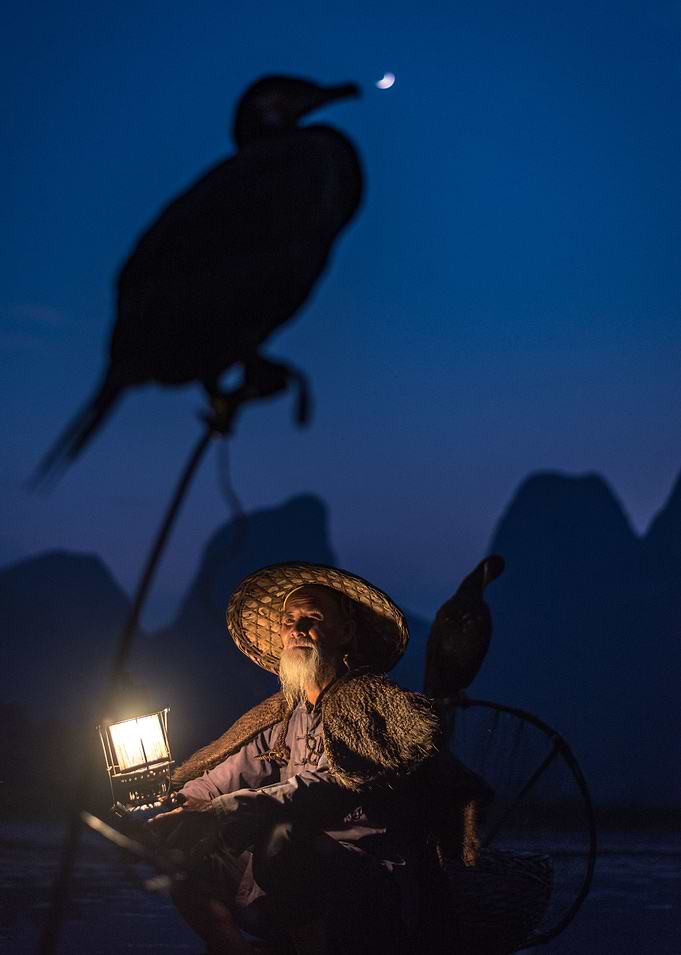 Cormorant Fisherman