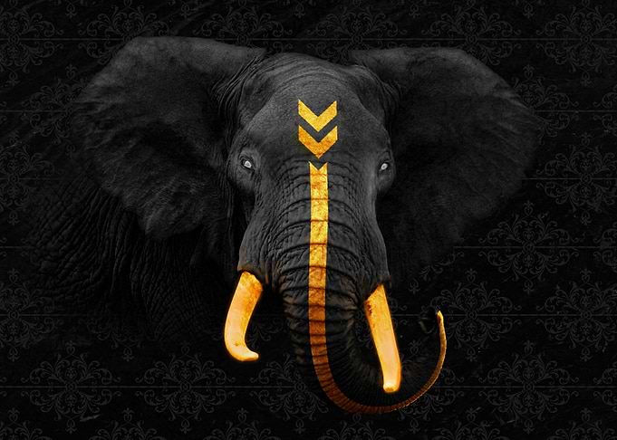 Elephant King