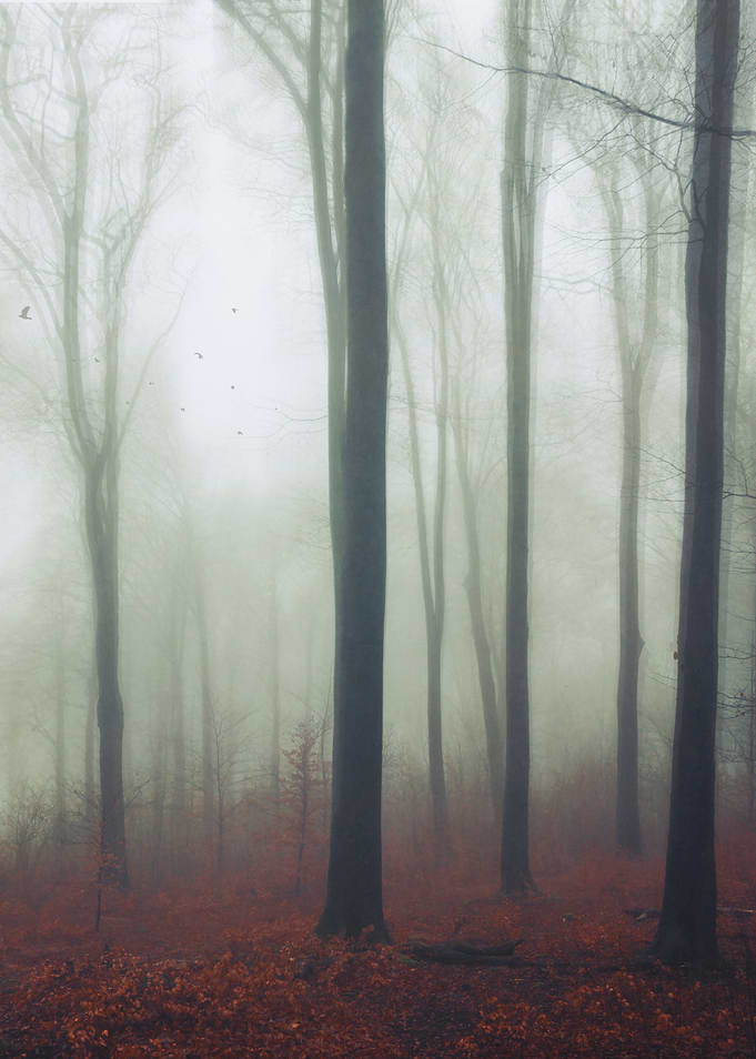 undisturbed
