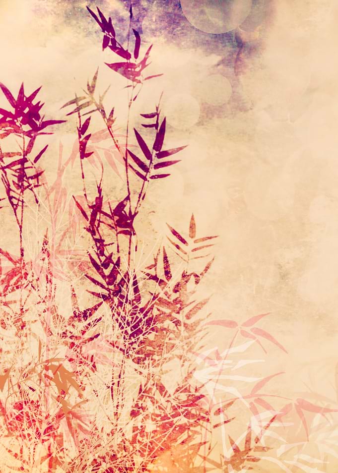 BAMBOO PART IVa