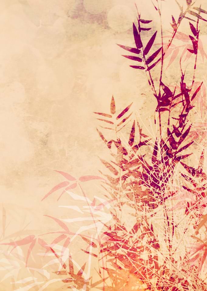 BAMBOO PART IVa