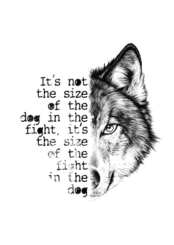 It's the size of the fight