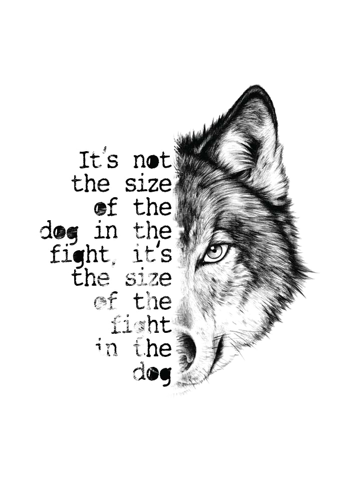 It's the size of the fight