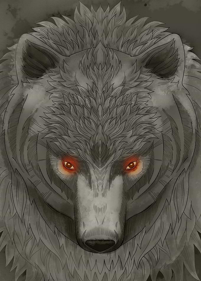 Black Bear