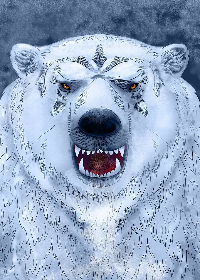 Snow Bear