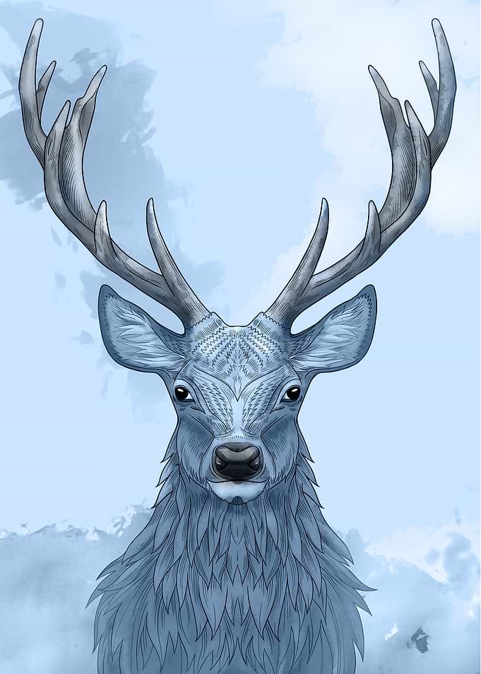 Blue Stag
