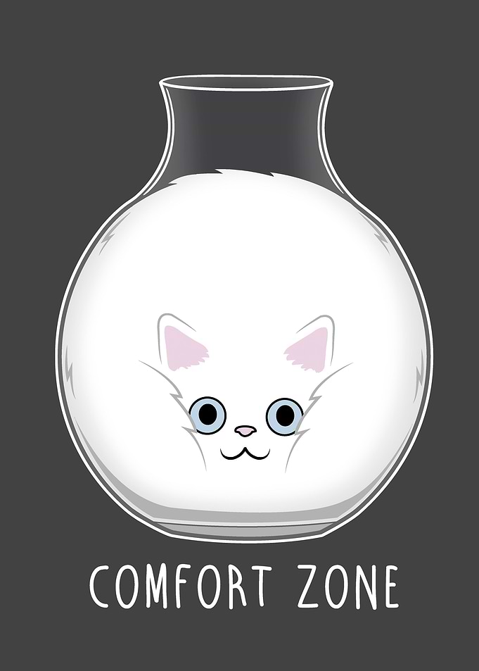 Comfort Zone!