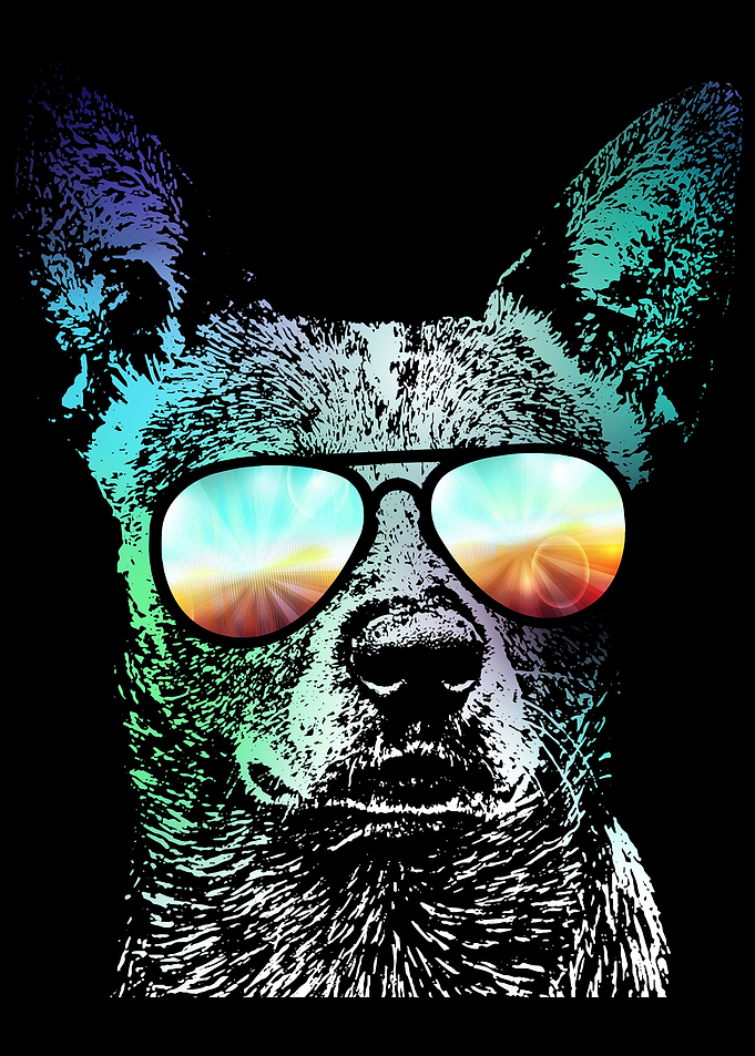Neon Australian Cattle Dog Art