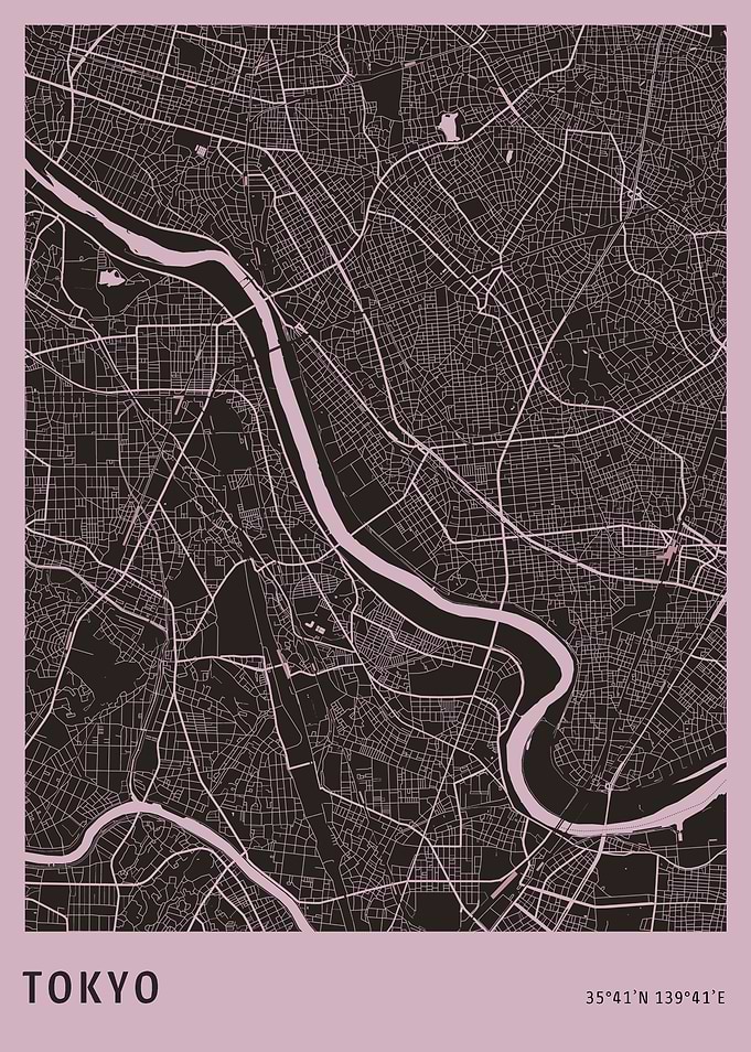 Tokyo City Map