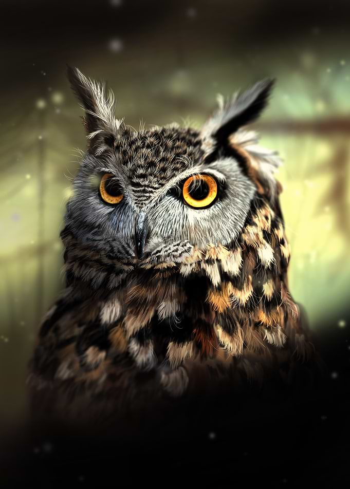 Great horned owl