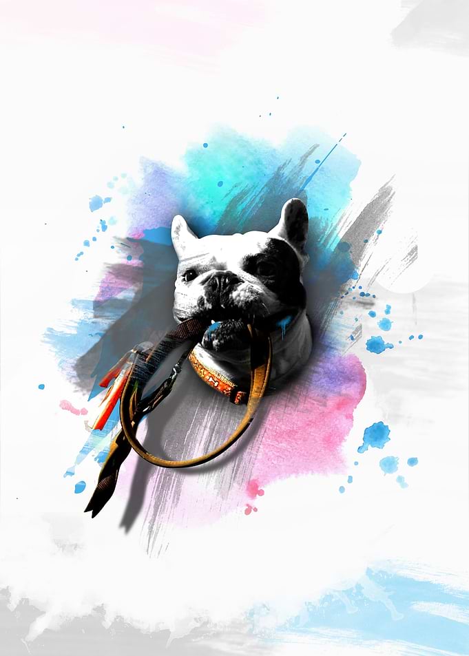 Bulldog