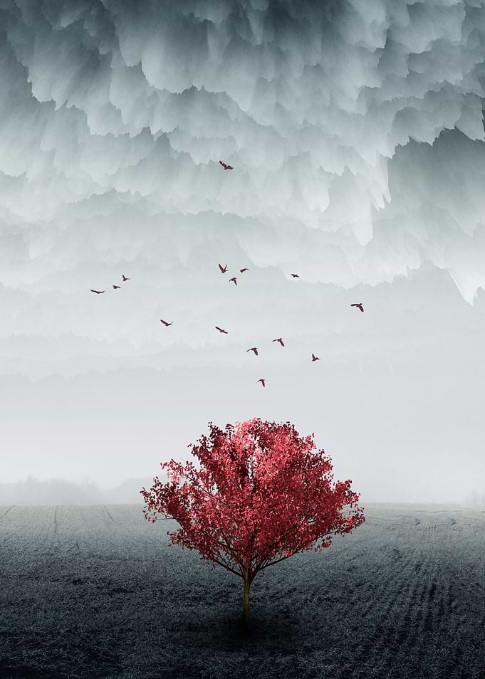 The Red Tree II