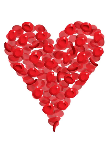 Blood cells heart